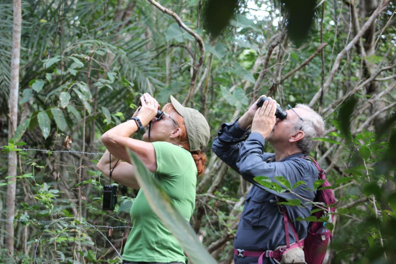 Aruá Observação de aves e natureza Praia do Forte Exterior foto